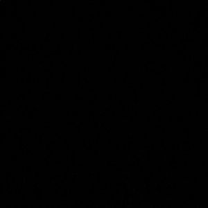 Meet your Posher, Isabella